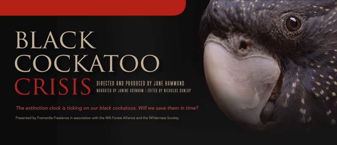 Black Cockatoo Crisis - Film Fundraiser