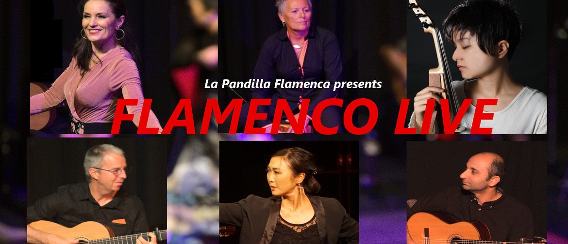 Flamenco Live with a Complement Flamenco Lesson