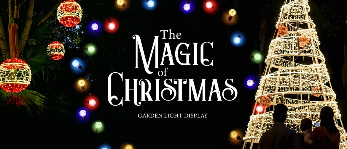 The Magic of Christmas