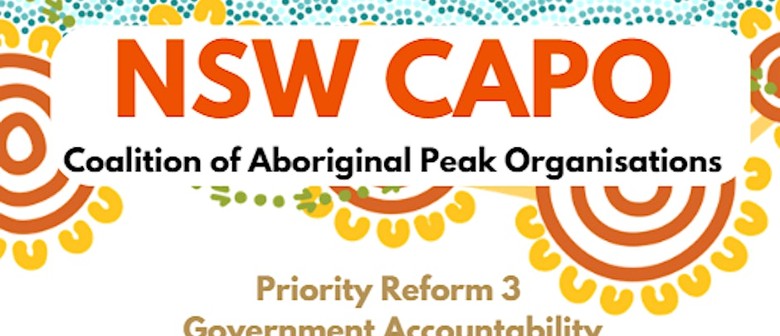 NSW CAPO Accountability Workshop