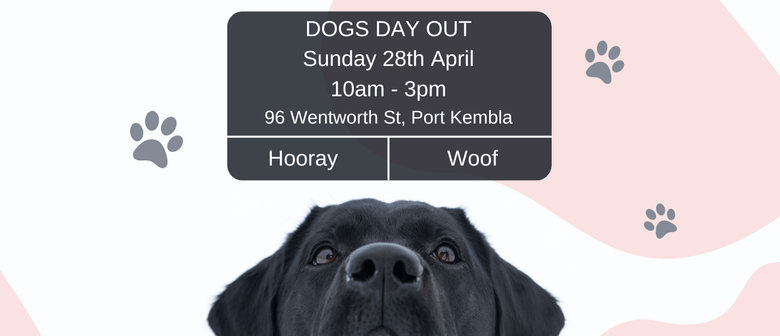 Dogs Day Out