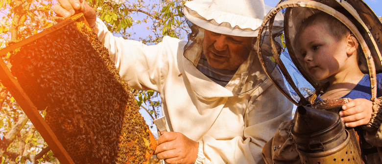 Buzz Around Brisbane's Biggest, Interactive Bee Hive