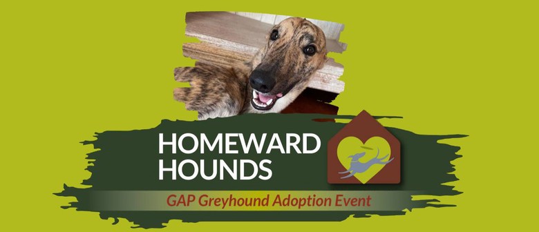 Homeward Hounds - Greyhound Adoption Month