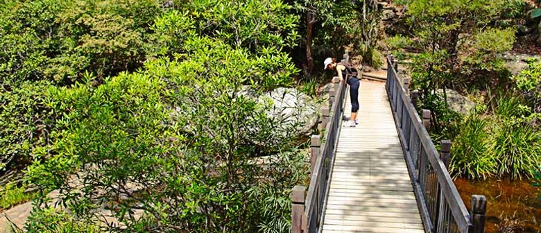 Person on a bridge in Glenrock State Conservation Area