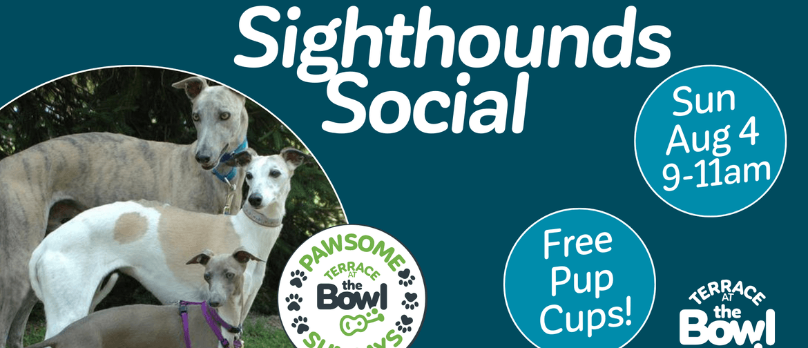 The Sighthounds Social is a new dog event happening on the first Sunday of every month at The Terrace Port Macquarie which is the outdoor area of The Bowl Port Macquarie.