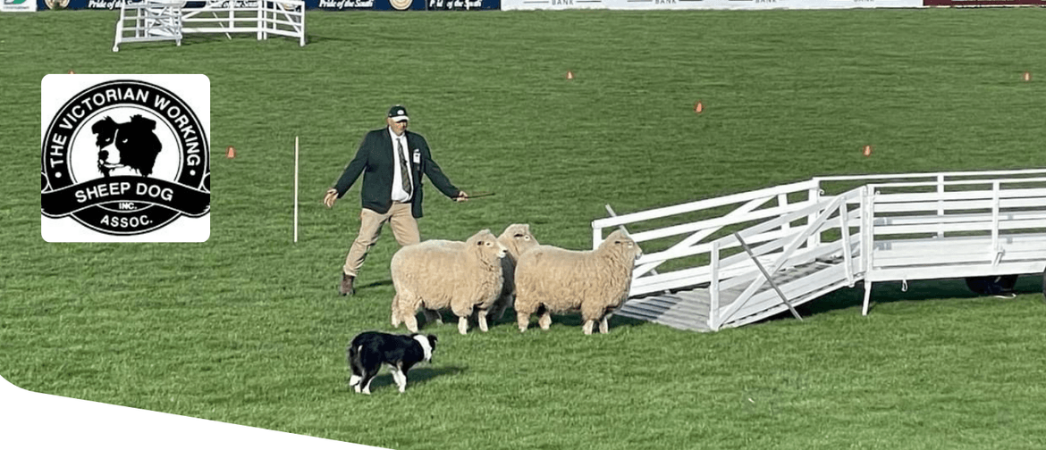 2024 Hypro Supreme Australian Sheep Dog Championships 2024 Hypro Supreme Australian Sheep Dog Championships