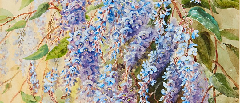 Nature Revealed: Rosa Fiveash & Ellis Rowan