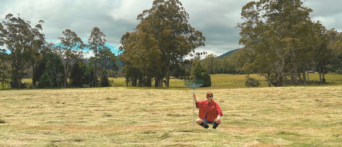 A Chance to Address the Amish Rumours