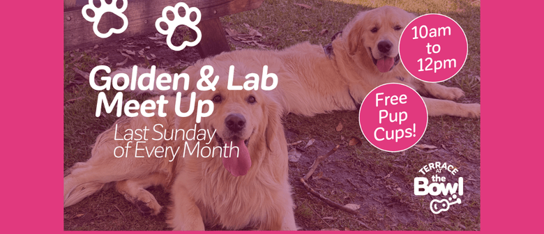 Golden & Lab Meet Up