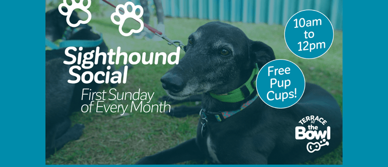 Sighthound Social