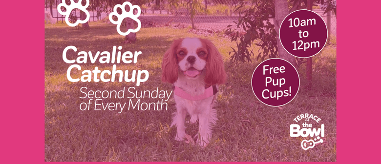 Cavalier Catchup