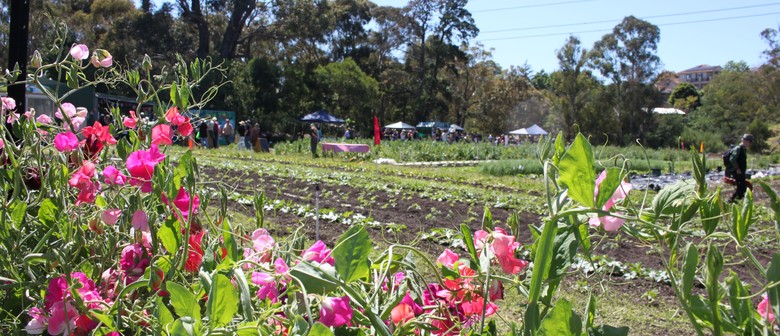 CERES Harvest Festival - Hops on the Hill