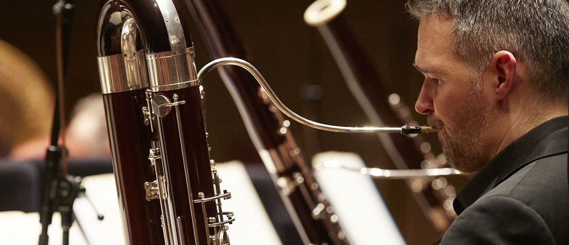 Four Bassoons image of a member of the MSO playing a bassoon