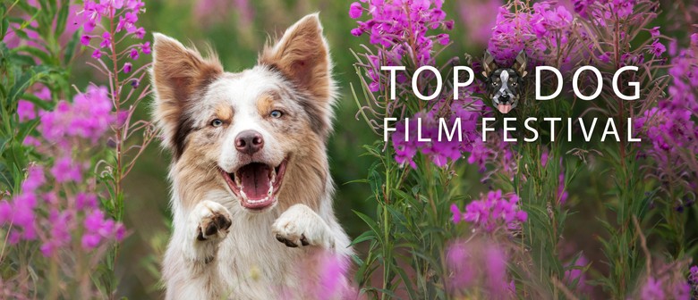 Top Dog Film Festival 2025