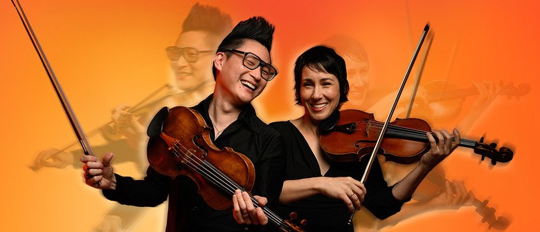 Meet the Chamber Orchestra