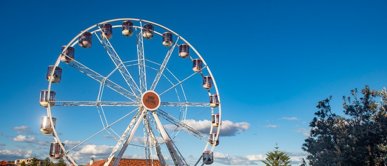 Bondi Festival