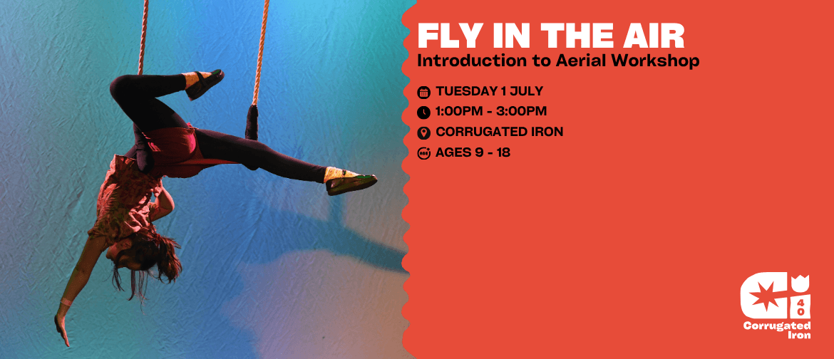 Fly In The Air Fly In The Air