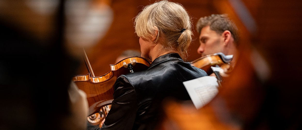 The Voice of the Viola: Fiona Sargeant Through a blurred foreground of cellos a single female string player is focused upon