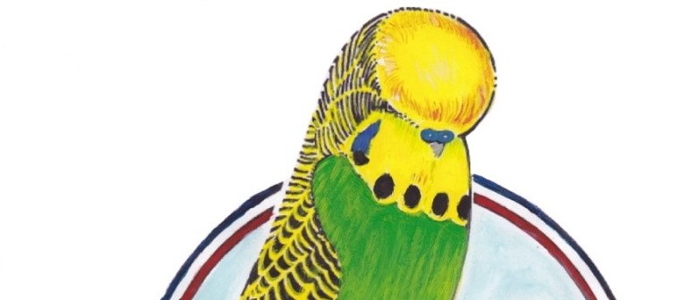 Newcastle Budgerigar Club - Open Day