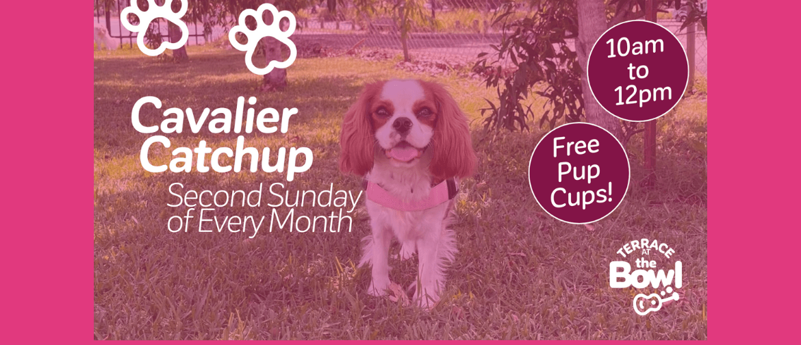 The Cavalier Catchup on the second Sunday of the month from 10am-12pm is a great way for your dogs to socialise and have fun