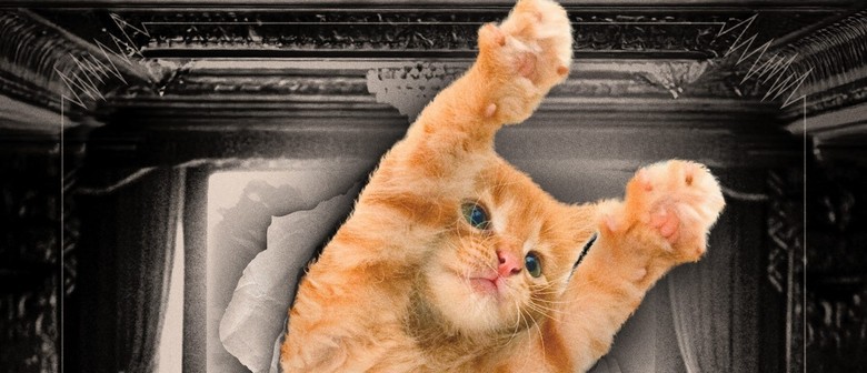 CatVideoFest 2025