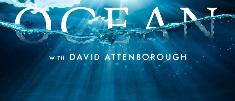 Ocean - David Attenborough