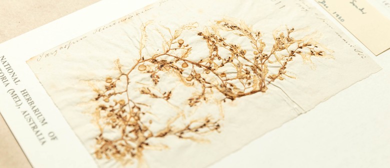 Specimens Across Time