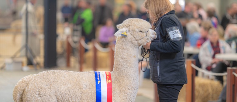 Australian Alpaca National Show