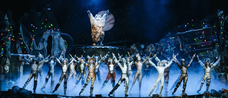 CATS The Musical