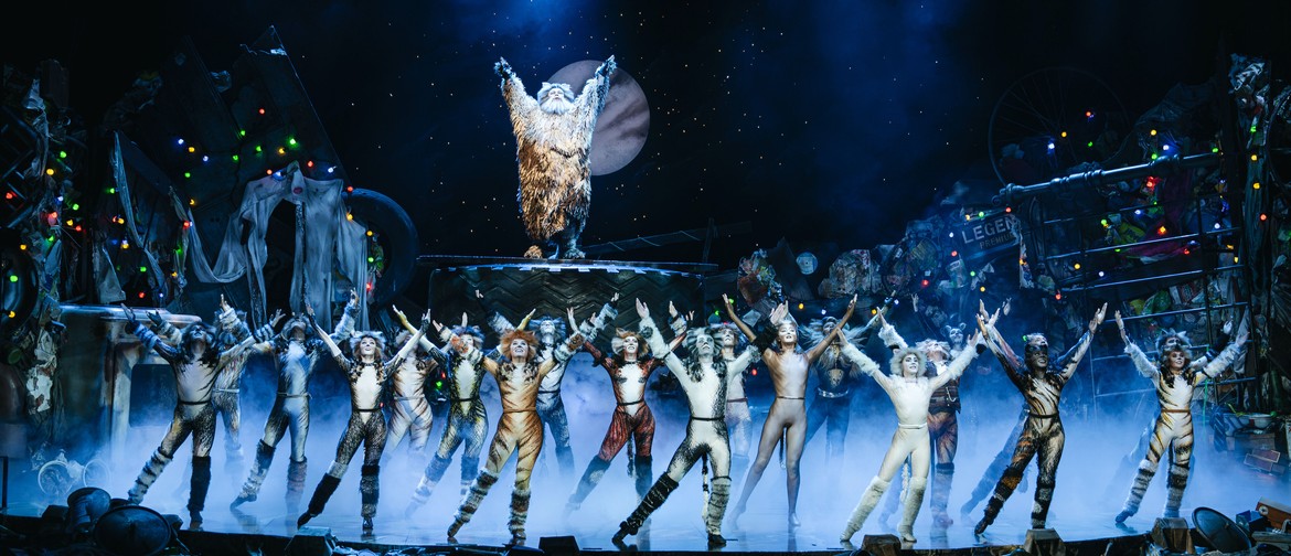 CATS The Musical