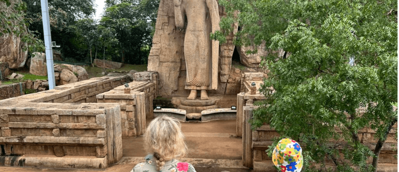 Silent Insight Meditation Retreat with Celia Roberts