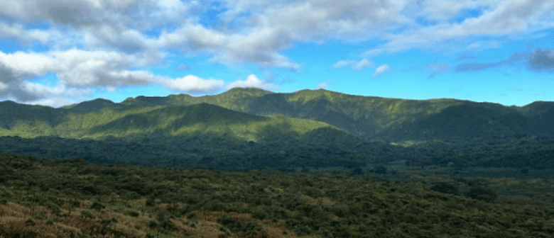 CPD27 Compassion-Focused Psychedelic Therapy Training: Exper