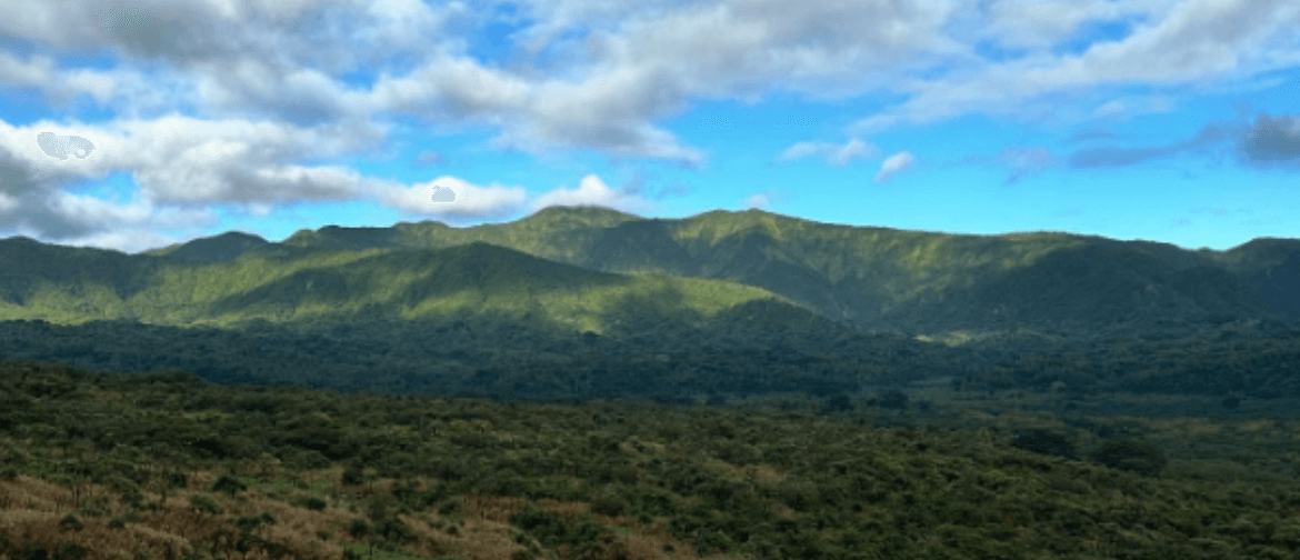 CPD27 Compassion-Focused Psychedelic Therapy Training: Experiential Cl