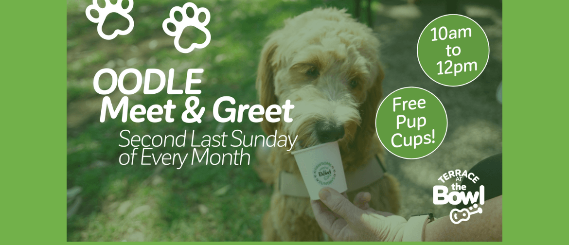 OODLE Meet & Greet - Breed specific dog event in Port Macquarie on The Terrace at The Bowl Port Macquarie from 10am-12pm. Dog Friendly