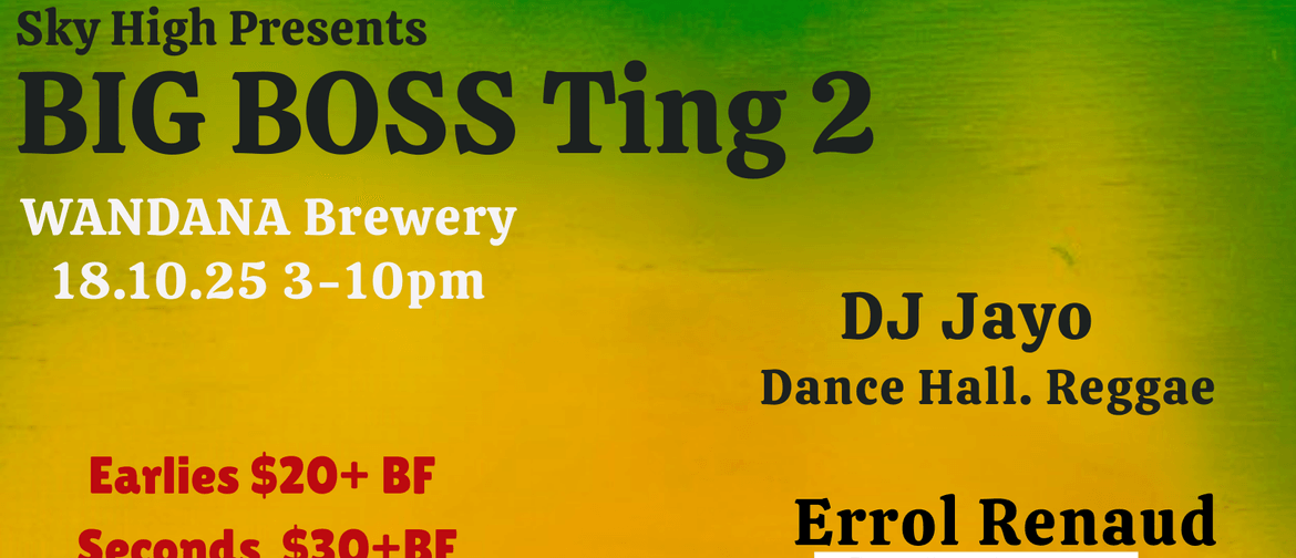 Big Boss Ting 2: Reggae Soca Dancehall