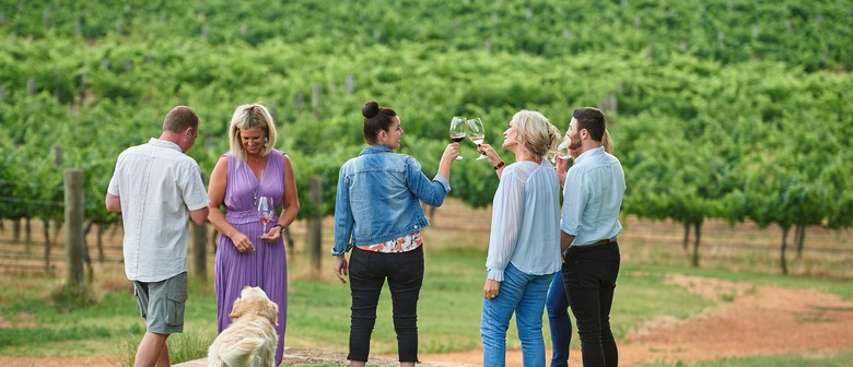 Twilight on The Terrace- Cheese & Wine Tasting Sundowner