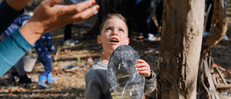 Forest Workshops at Gresswell Forest Reserve