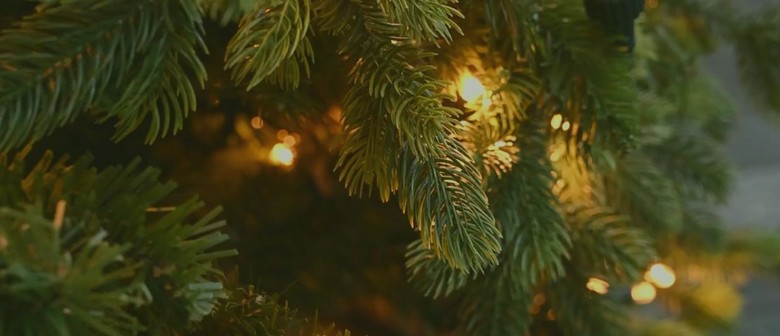 Hope Illuminated &ndash; Christmas Lights at Mary MacKillop Place