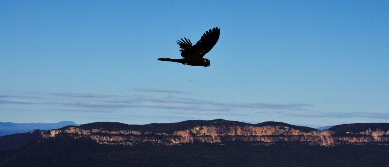The Memory Mirror by Georgina Luck