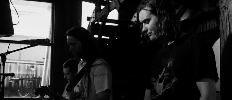 THE FRUD & BLEEDING - LIVE