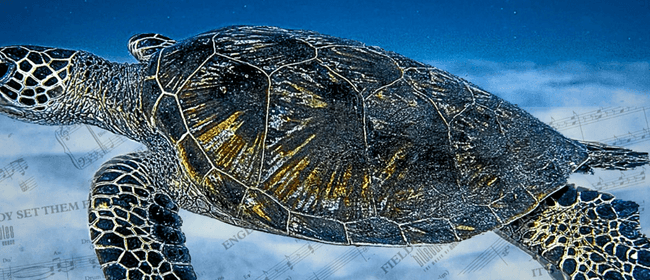 Image for Blue Turtles: The Music of Sting