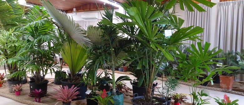 Annual Palm and Cycad Show