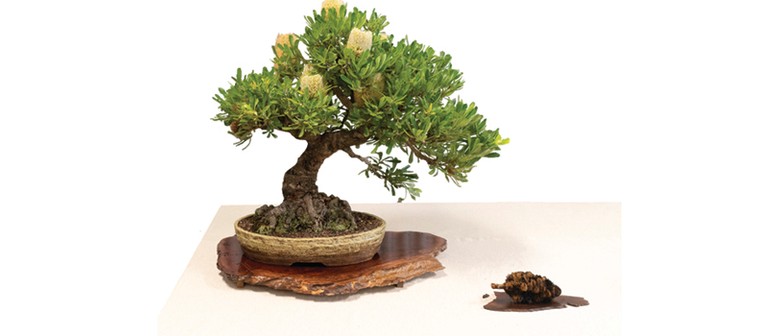 Australian Plants as Bonsai Exhibition 2026