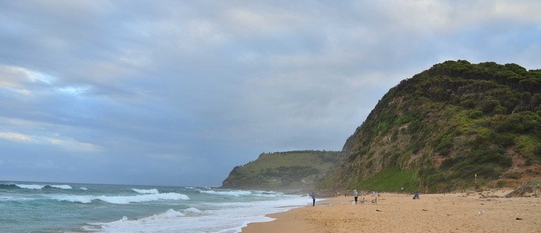 Learn to Paint in Oils - Fully Instructional Beach Landscape