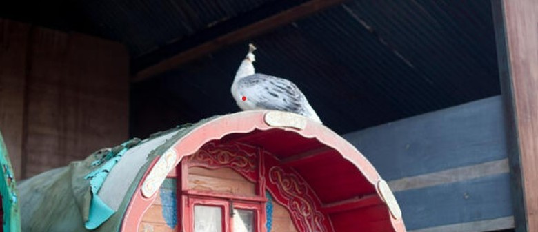 Music on a Market Sunday - The Gypsy and the Bird