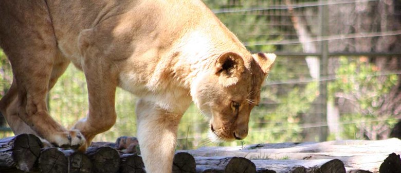 Taronga Western Plains Zoo